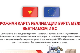 План реализации EVFTA между Вьетнамом и Европейским Союзом