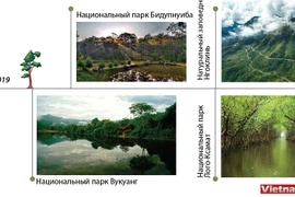 Национальные парки Вьетнама признаны парками наследия АСЕАН