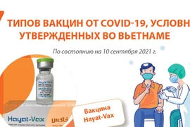 7 типов вакцин от COVID-19, условно утвержденных во Вьетнаме