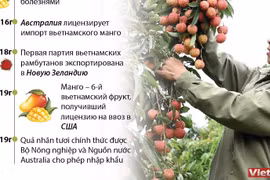 Вьетнамские фрукты: выход на мировой рынок