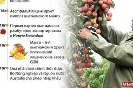Вьетнамские фрукты: выход на мировой рынок