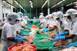 Рабочие компании Vinh Hoan перерабатывают морепродукты на экспорт (Фото: ВИА)