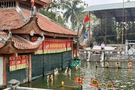 Иллюстративное изображение. (Фото: tuoitrethudo.com.vn) 