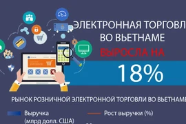 Выручка от электронной торговли во Вьетнаме выросла на 18%