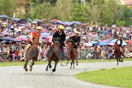 Скачки Бакха были признаны национальным нематериальным наследием (Фото: ВИА)