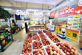 Фрукты в супермаркете VinMart в Ханое. (Фото: ВИА)