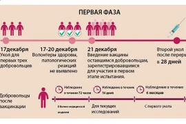 Ускорение тестирования вакцины против COVID-19