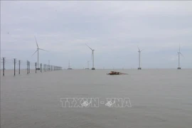 Турбины в море ветряной электростанции № 5 (община Тханьхай, район Тханьфу, провинция Бенче)