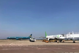 «Vietnam Airlines», «Vietjet» и «Bamboo Airways» заинтересованы в открытии прямых рейсов между Вьетнамом и США. (Фото: Вьет Хунг /Вьетнам +)