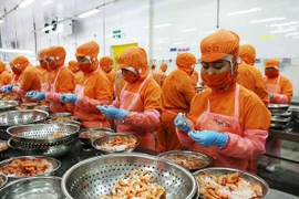 Рабочие перерабатывают креветки на экспорт на фабрике в провинции Ниньтуан (Фото: ВИА)