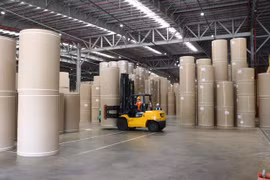 Завод тайской компании Kraft Vina Paper в индустриальном парке Мифыок 3, провинция Биньзыонг (Фото: ВИА)