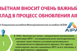 Вьетнам вносит очень важный вклад в процесс обновления AIPA