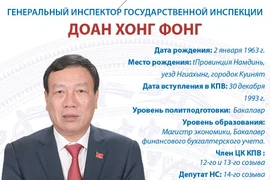 Генеральный инспектор государственной инспекции Доан Хонг Фонг
