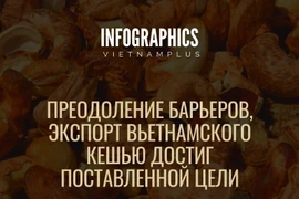 Преодоление барьеров, экспорт вьетнамского кешью достиг поставленной цели