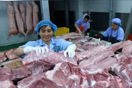 Вьетнам экспортировал продукции животноводства на сумму 710 млн. долл. США в 2019 году. (Фото: ВИА)