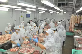 В компании Vissan в Хошимине, которая производит свежее мясо и полуфабрикаты (фото: интернет)