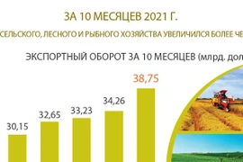ЗА 10 МЕСЯЦЕВ 2021 Г. ЭКСПОРТ СЕЛЬСКОГО, ЛЕСНОГО И РЫБНОГО ХОЗЯЙСТВА УВЕЛИЧИЛСЯ БОЛЕЕ ЧЕМ НА 13%
