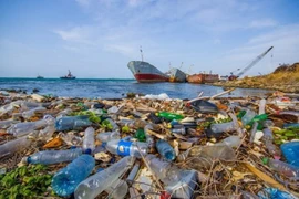 Запущен проект по дальнейшему сокращению количества морских пластиковых отходов. - Иллюстративное изображение (Фото: ВИА)