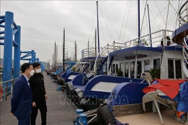 Проверка подготовки судовладельцев к приему гостей на причале Халонг. (Фото: ВИА)