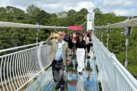 Единственный стеклянный мост в Центральном нагорье: новый туристический продукт Далата