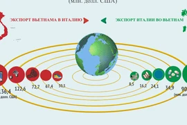 Торговые отношения между Вьетнамом и Италией