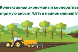 Коллективная экономика и кооперативы напрямую вносят 4,8% в национальный ВВП