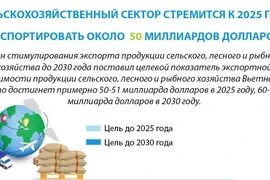 Сельскохозяйственный сектор стремится к 2025 году экспортировать около 50 мллрд.долл.США