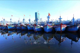 Иллюстративное фото (Источник: ВИА)