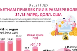 Вьетнам привлек ПИИ в размере более 31,15 млрд. долл. США в 2021 году