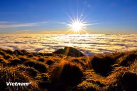 Покорение этого маршрута, который поднимается на высоту 2 913 метров над уровнем моря, занимает два дня и одну ночь. Но в награду за это туристы получают захватывающие дух природные пейзажи. (Фото: Вьетнам+) 