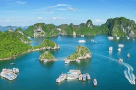 Иллюстративное изображение (Фото: ВИА)