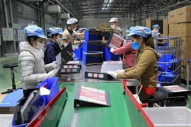 Трудящиеся работают в компании Deli Vietnam в индустриальном парке Йенфонг провинции Бакнинь. (Фото: ВИА) 