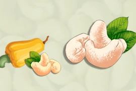 Экспорт кешью достиг рекорда в октябре 2023 г.