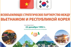 Всеобъемлющее стратегическое партнерство между Вьетнамом и Республикой Корея
