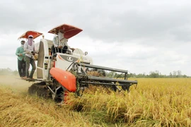Регистрация защиты товарной марки не только защищает бизнес, но и обеспечивает права и интересы в сфере обращения товаров. (Фото: ВИА)
