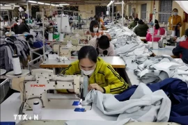Рабочие изготавливают швейные изделия для экспорта на предприятии в северной провинции Ханам. (Фото: ВИA)