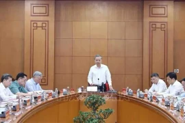 Генеральный секретарь ЦК КПВ То Лам выступает на встрече. (Фото: ВИA)