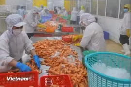 Standard Chartered повысил свой прогноз роста ВВП Вьетнама в 2024 году до 6,8% с предыдущих 6,0%. (Фото: ВИA)