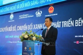 Заместитель министра науки и технологий Буй Тхе Зуй. (Фото: ВИA)
