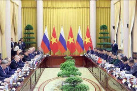 Президент То Лам и Президент Российской Федерации Владимир Путин проводят переговоры. (Фото: ВИА)