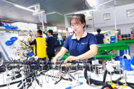 Производство в HanYang Electronic Vietnam Co., Ltd. (Фото: laodong.vn)