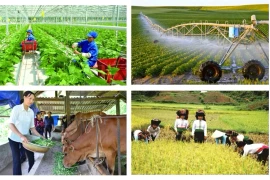 1 июля будущего года начнется общенациональная сельская и сельскохозяйственная перепись, цель которой - собрать всесторонние данные по различным аспектам, включая текущее состояние агро-лесо-рыбохозяйственного производства, условия жизни в сельской местности и сельских жителей. (Фото: ВИА) 