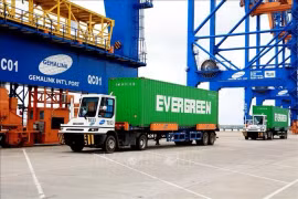 Морские порты Вьетнама будут обрабатывать 1,2-1,4 миллиарда тонн грузов к 2030 году (Фото: ВИA)