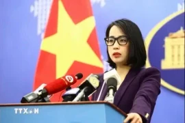 Официальный представитель Министерства иностранных дел (МИД) Вьетнама Фам Тху Ханг.(Фото: ВИА) 
