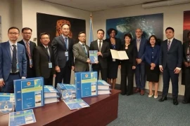 Делегация МИД Вьетнама на церемонии вручения вьетнамского представления. (Фото: ВИA)