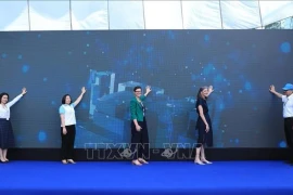 На церемонии запуска программы в Ханое 3 июня (Фото: ВИА) 