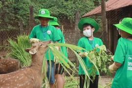 Молодые люди участвуют в программе "Cuc Phuong Camp 2024" в национальном парке Кукфыонг в северной провинции Ниньбинь (Фото: ВИA)