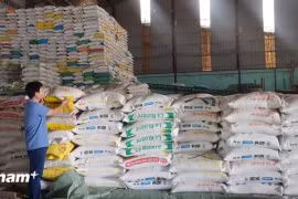 UOB прогнозирует устойчивый рост Вьетнама на уровне 6% в 2024 году (Фото: Vietnam+)