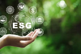  Реализация ESG-стандартов: Вьетнам адаптируется к мировым тенденциям 