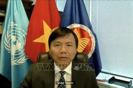 Посол Данг Динь Куи, глава постоянного представительства Вьетнама при ООН (Фото: ВИА)